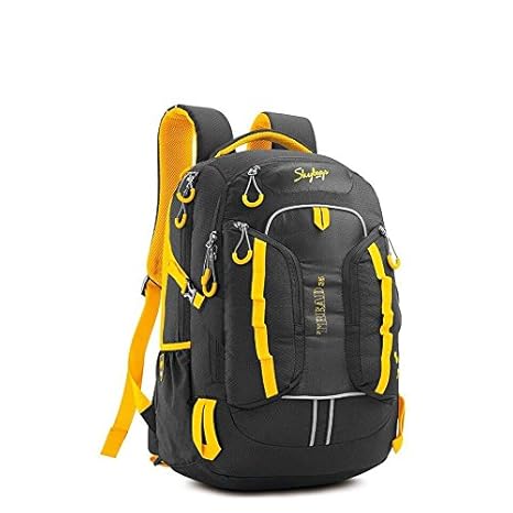 skybags with shoe compartment