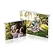 AMEITECH 5x7 Acrylic Photo Frame, Magnetic Picture Frames, 10 + 10MM Thickness Stand in Desk Table, Clear (5 Pack)