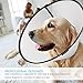 Felicey Pet Adjustable Dog Elizabeth Collar - Protective Recovery Cone Collar with Soft Edge for Anti-Bite, Surgery or Wound Healing (XL) (White, XL)