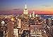 Puzzle Press | New York City Puzzle 1000 Piece Adult Puzzle - NYC Skyline with Empire State Building - Challenging Family Puzzle