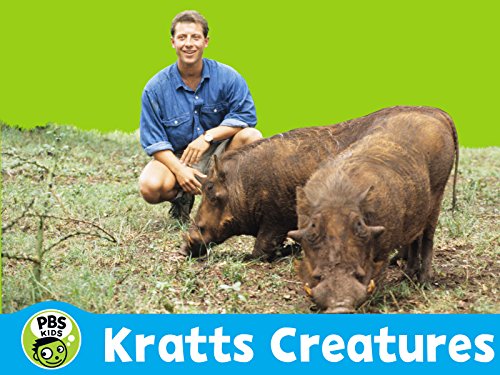 Amazon.com: Kratts' Creatures Season 5: Paragon