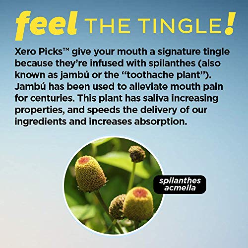 Xero Picks Infused Flavored Toothpicks to help QUIT Smoking NICOTINE