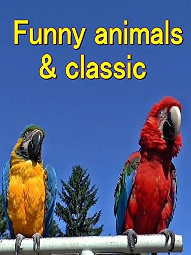Clip: Funny animals and classic