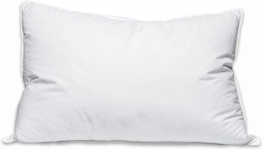 Amazon Com Medium Support Down And Feather Chamber Pillow