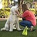 PLANET POOP - Compostable Biodegradable Dog Poop Bags Unscented - Cornstarch Earth Friendly - Highest Rated ASTM D6400 - Large with Handles, 240 Durable Leak Proof Pet Waste Bags - Supports Dog Rescue