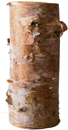 Chandelier Naturel Bouleau Blanc Tronc Decoration Ornements Bureau Partie Au Sol De Mariage Ensemble Accessoires Huxiuping Amazon Fr Cuisine Maison Chandelier Naturel Bouleau Blanc Tronc Decoration Ornements Bureau Partie Au Sol De Mariage Ensemble Accessoires Huxiuping Amazon Fr Cuisine Maison