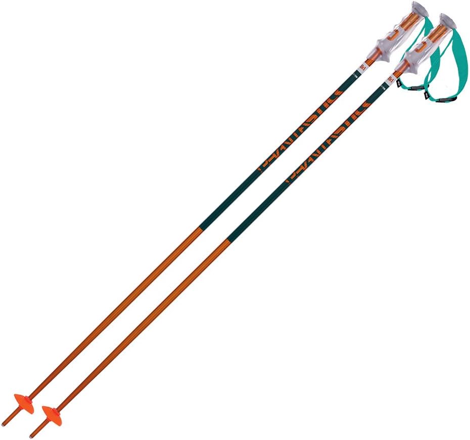 Volkl 2017 Phantastick 2 Ski Poles - Petrol