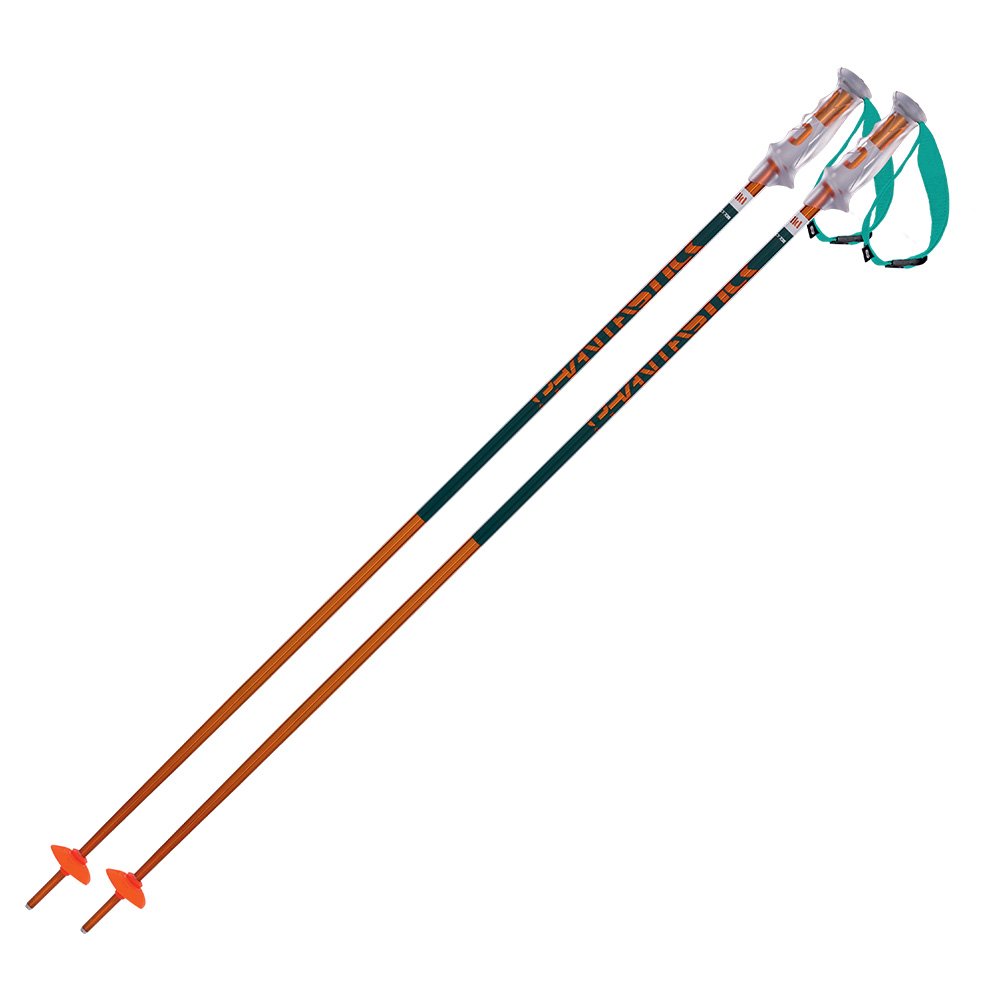 Volkl 2017 Phantastick 2 Ski Poles - Petrol