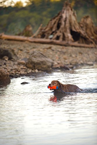 Chuckit! Amphibious Bumper Fetch and Float Dog Toy, Small (Assorted Colors)