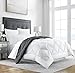 Sleep Restoration All Seasons King/Cal Size Bedding Comforter - Reversible - Cooling, Lightweight Summer Down Alternative - Hotel Quality - Grey/White