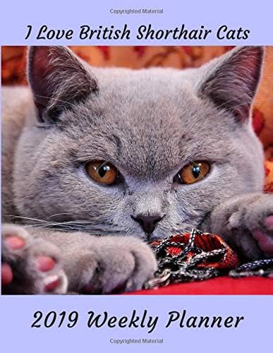 I Love British Shorthair Cats: 2019 Weekly Planner Large Size 8.5x11 Organizer Diary with Goal Setting & Gratitude Sections,Lilac (Love All Cats) Paperback – November 15, 2018