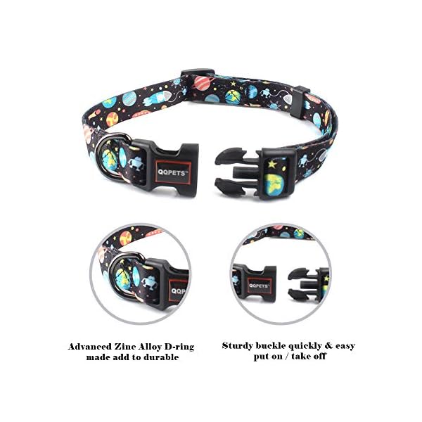 dog collars pet barn