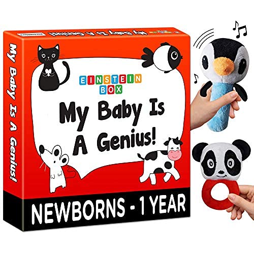 Einstein Box Gift Set for Babies, Newborns and Infants of Age 1-3-6-9-12 Months | High Contrast Gift Set with Set of Rattles+ High Contrast Books+ High Contrast Flashcards| for Baby Boys & Girls Toy Review India (Iknoor World )
