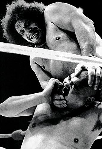 Andre the Giant Poster, Actor &amp; Professional Wrestler, WWF, Wrestling