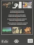 Image de Las reglas de la fotografía y cuándo romperlas