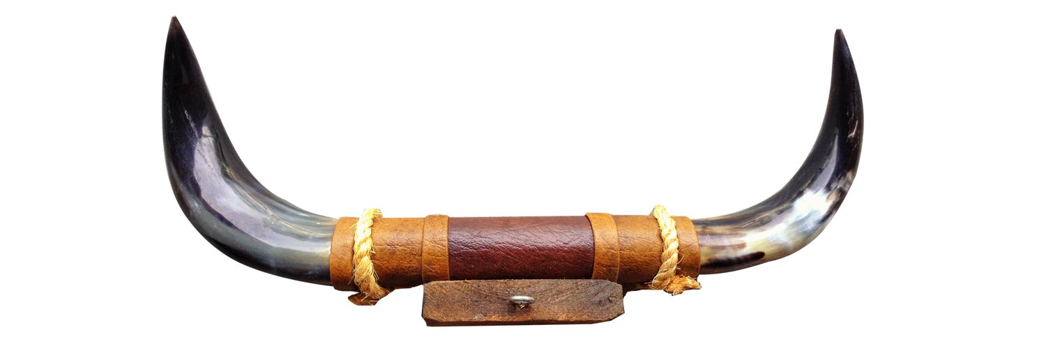 Steer Bull Cow Horn Texas Long Horn Mounted Wall Car Truck RV Hood