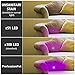 UV Black Light Flashlight, Super Bright 100 LED 395nm Pet Dog Cat Urine Detector light Flashlight for Pet Urine Stains, UV Blacklight Flashlight with UV Sunglasses for Bed Bugs Scorpions, Home Hotel