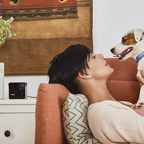 6 Petcube+Camera+Interactive+Full+Room+Alerts
