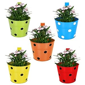 TrustBasket Single Pot Railing Plant with Polka Dots (Pack of 5) – (Multicolour) Dotted Railing Metal Planters for…