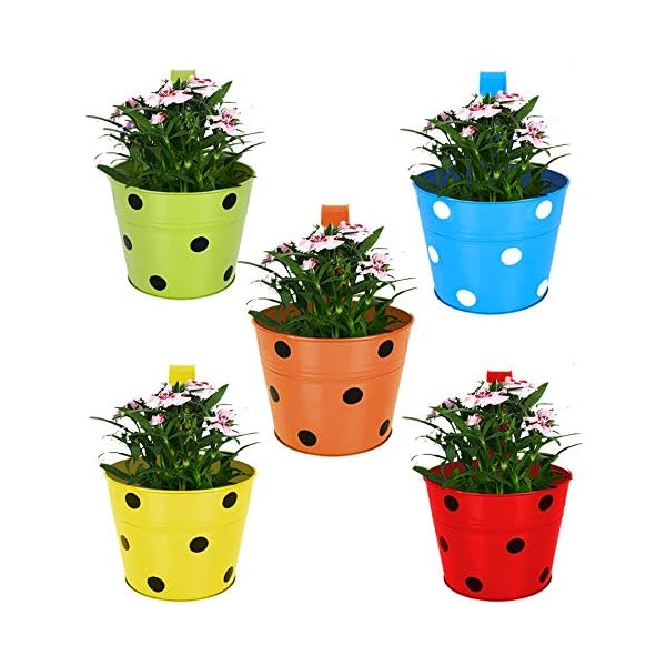 TrustBasket Single Pot Railing Plant with Polka Dots (Pack of 5) - (Multicolour) Dotted Railing Metal Planters for…