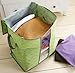 Domire Bamboo Charcoal Clothes Storage Case Box Holder Bags (Green)