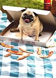Pug in Pizza Box Dog Birthday Card