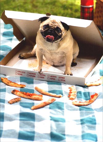 Pug-in-Pizza-Box-Dog-Birthday-Card