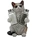 Playful Calico Kitty Cat Glass Salt and Pepper Shaker Set with Decorative Holder Sculpture in Kitten Statues & Figurines and Unique Kitchen Table Decor Gifts for Pet Lovers by Home-n-Gifts