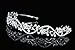 Bridal Flower Rhinestones Crystal Wedding Headband Tiara (Clear Crystals Silver Plated)