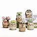 Succulent Planter, Cute Ceramic Owl Planters with Drainage, 2.5 Inch Small Flower Pot, Set of 6 Pots for Plants