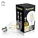 FluxSmart LED Filament Edison Light Bulb - Dimmable Warm White 8W - 60W Equivalent A19 E26/27 Base 2700K (8)