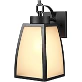 GLOBE Electric 60000166 1-Light Outdoor Wall Sconce, Matte Black, Frosted Glass