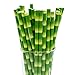CTIGERS Bamboo Print Biodegradable Drinking Paper Straws for Party Box of 100