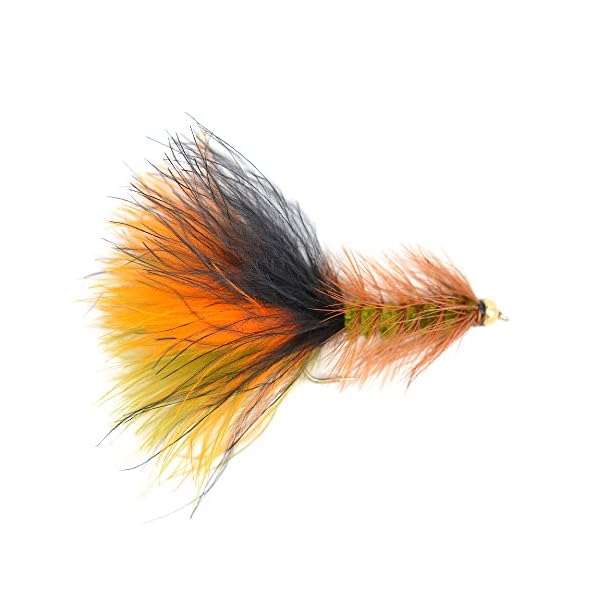 The-Fly-Fishing-Place-Bead-Head-Woolly-Bugger-Classic-Streamer-Flies-Set-of-12-Bass-and-Trout-Fly-Fishing-Flies-Hook-Size-4