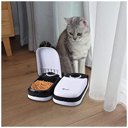Wopet Automatic Cat Feeder Pet Feeder For Dogs And Cats With Ice