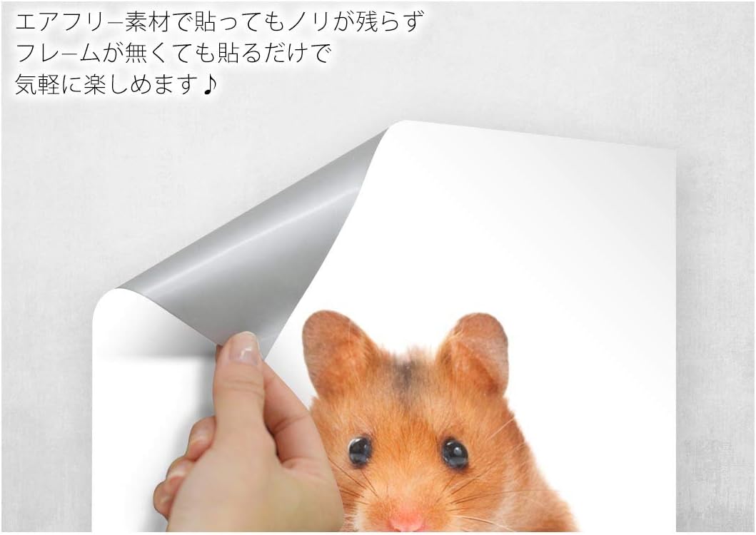 Amazon Co Jp Igsticker ポスター ウォールステッカー シール式ステッカー 飾り 515 728 B2 写真 フォト 壁 インテリア おしゃれ 剥がせる Wall Sticker Poster アニマル ハムスター 動物 ホーム キッチン
