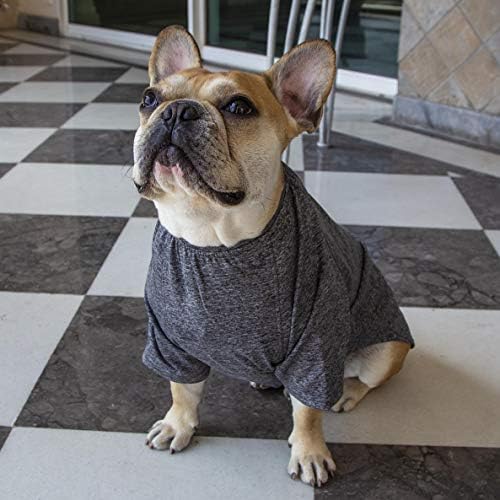 Impawsters Dog Clothing Fashion Accessory T-Shirt for Anniversary Party and Return Gifts Dark Grey Tee Small Size 2