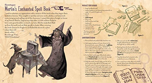 The Book of Wizard Magic: In Which the Apprentice Finds Marvelous Magic Tricks, Mystifying Illusions & Astonishing Tales (The Books of Wizard Craft)