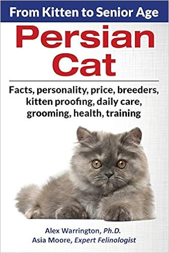buy persian cat
