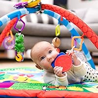 baby einstein caterpillar and friends play gym