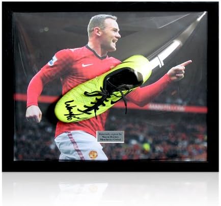 rooney t90