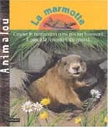 La  marmotte