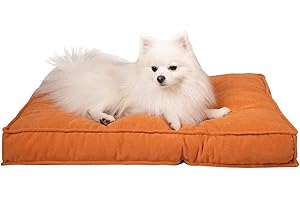 WELLYELO Dog Beds for Extra Small Dogs Cat Bed for Indoor Cats Dog Crate Pad Pet Bed Puppy Bed Machine Washable (20x15x3, Orange)