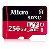 Generic Micro SD Card 256GB, High Speed 256GB Micro SD SDXC Card Class 10 with Free Adapter(I35-HR256-01)
