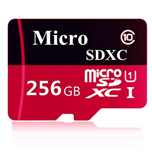 Generic Micro Sd Card 256gb, High Speed 256GB Micro SD SDXC Card Class 10 with Free Adapter(I35-HR256-01)