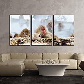 3 Piece Canvas Wall Art - Japanese Macaque Monkeys in Bath - Modern Home Art Stretched and Framed Ready to Hang - 16"x24"x3 Panels