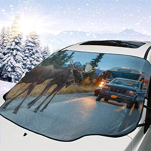 yiwushixiangledianzishangwuyouxiangongsi Car Windshield SunshadeTwo Moose Bulls Crossing Road In Denali NPSun Visor, Windshield Sun Visor, UV-cut Windshield Sunshade (147 x 118 cm)