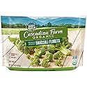 Cascadian Farm Organic Florets Broccoli 10 oz Bag