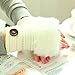 DZT1968® 1PCWomen Winter Artificial Rabbit Fur Wrist Fingerless Gloves Mittens (White)