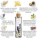 All Naturals Pure Baby Body Oil with Kukui Nut Oil, Evening Primrose, Chamomile and Lavender| Perfect Face and Body Moisturiser for Sensitive Baby Skin and Eczema| Natural and Organic 200mlthumb 2